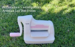 FB_IMG_1641781991249